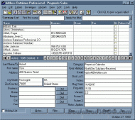 Address Database Professional screenshot